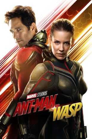 Download Ant-Man and the Wasp 2018 Dual Audio Movie [Hindi 5.1-Eng] BluRay 1080p 720p 480p HEVC