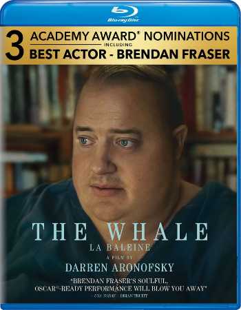 Download The Whale 2022 BluRay Dual Audio [Hindi-Eng] 