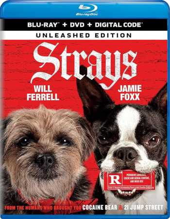 Download Strays 2023 BluRay Dual Audio Hindi -Eng